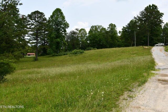 157 Windsong Dr, Helenwood, TN 37755 - photo 26