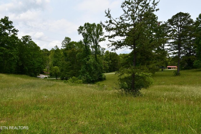 157 Windsong Dr, Helenwood, TN 37755 - photo 27