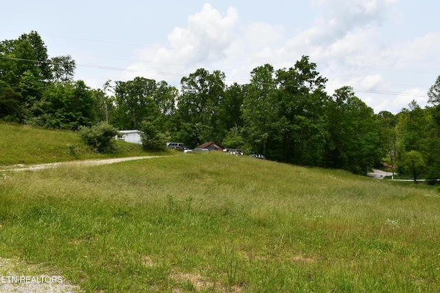 157 Windsong Dr, Helenwood, TN 37755 - photo 17