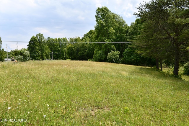 157 Windsong Dr, Helenwood, TN 37755 - photo 28