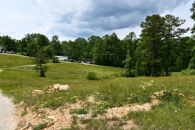 157 Windsong Dr, Helenwood, TN 37755 - photo 16