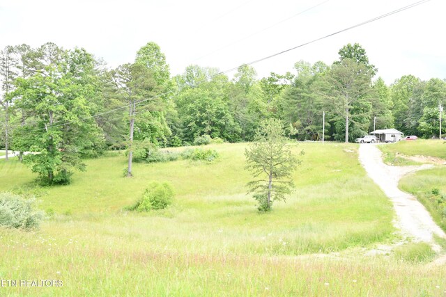 157 Windsong Dr, Helenwood, TN 37755 - photo 32