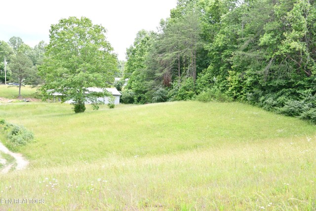 157 Windsong Dr, Helenwood, TN 37755 - photo 33