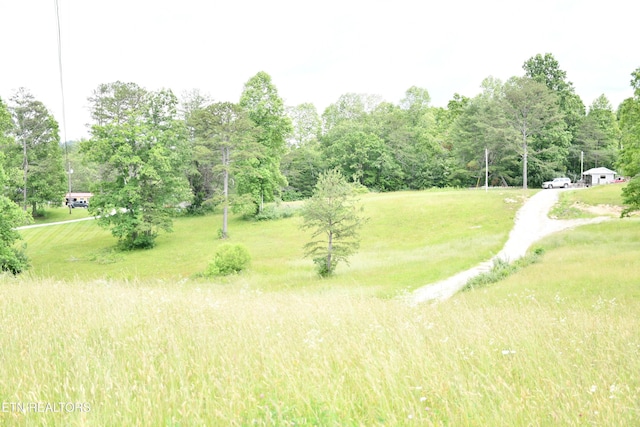 157 Windsong Dr, Helenwood, TN 37755 - photo 34
