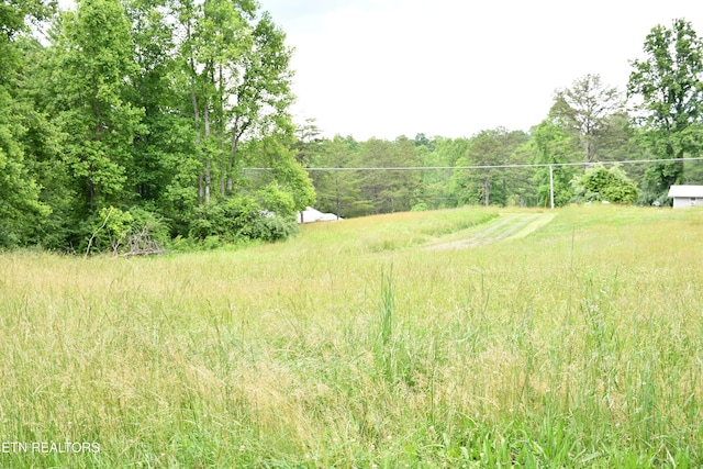 157 Windsong Dr, Helenwood, TN 37755 - photo 25