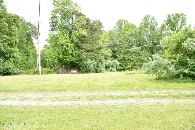 157 Windsong Dr, Helenwood, TN 37755 - photo 11