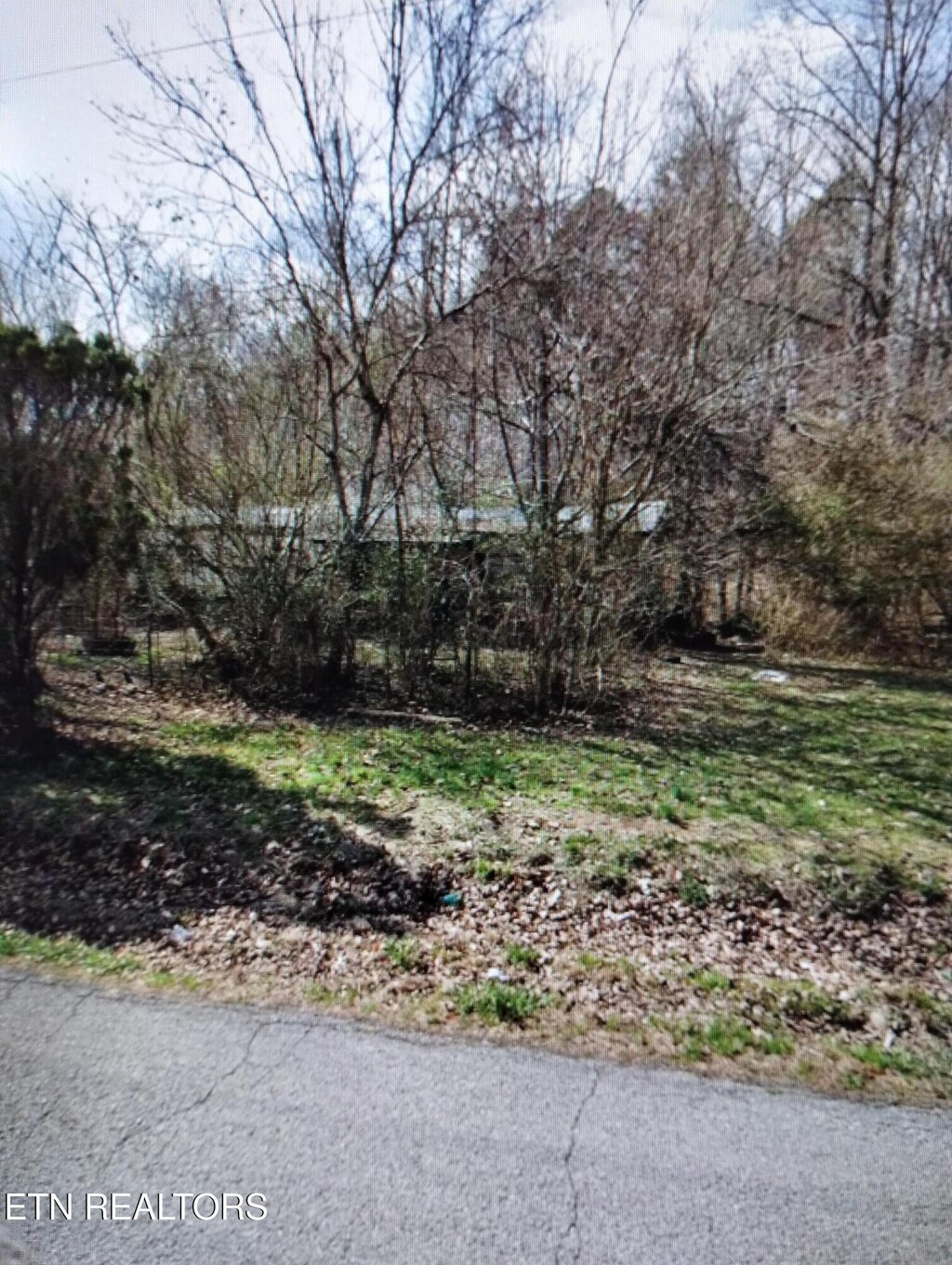 16168 Blue Springs Rd, Philadelphia, TN 37846 - photo 2