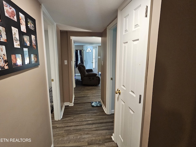 717 Cedar Fork Rd, Tazewell, TN 37879 - corridor with dark wood-type flooring and baseboards