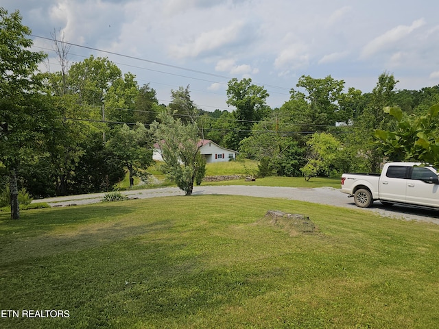 717 Cedar Fork Rd, Tazewell, TN 37879 - view of grassy yard with curved driveway
