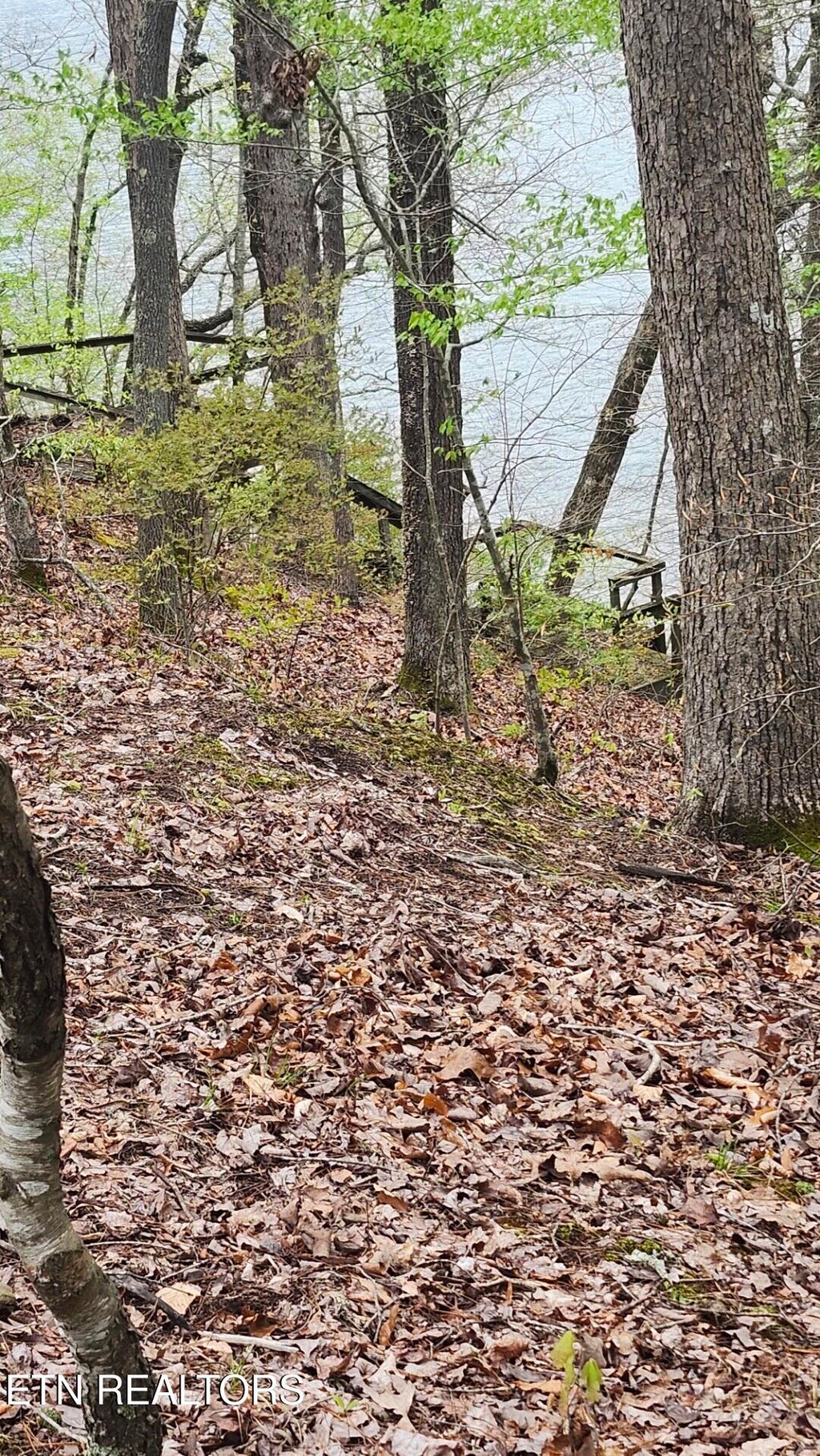 LOT20 Sawmill Cv, Rockwood, TN 37854 - photo 2