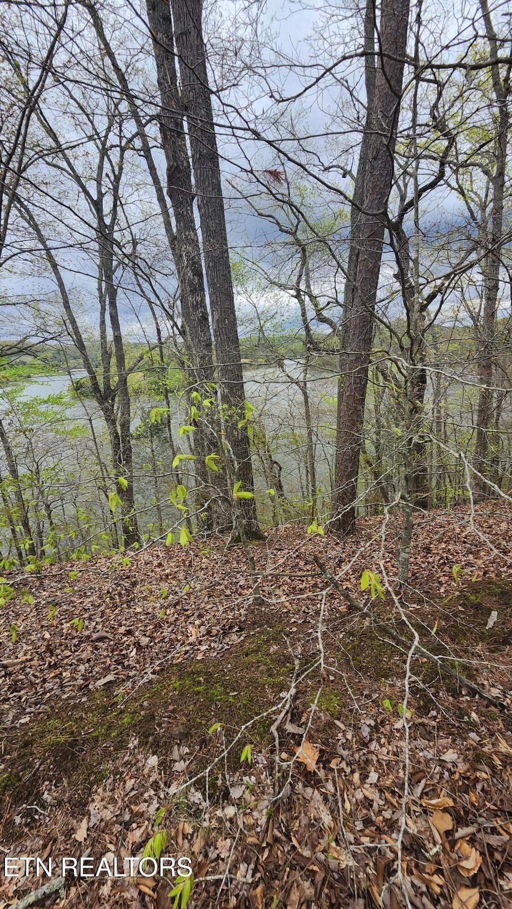 LOT20 Sawmill Cv, Rockwood, TN 37854 - photo 3