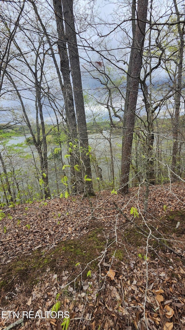 LOT20 Sawmill Cv, Rockwood, TN 37854 - photo 3