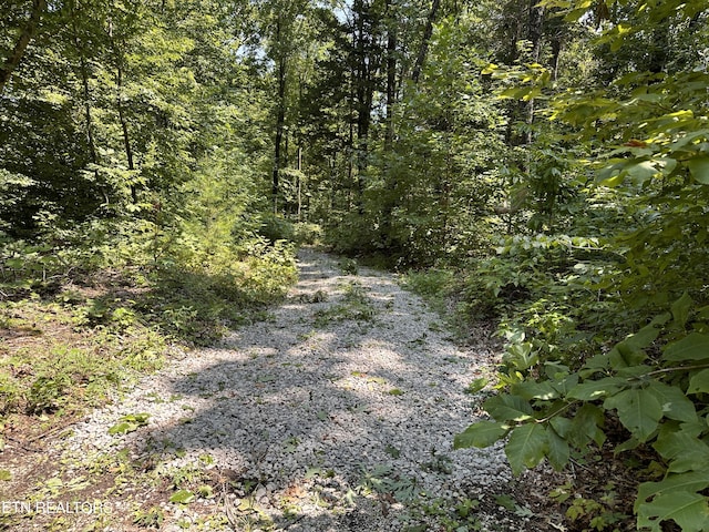 12.55AC Winningham Rd, Byrdstown, TN 38549