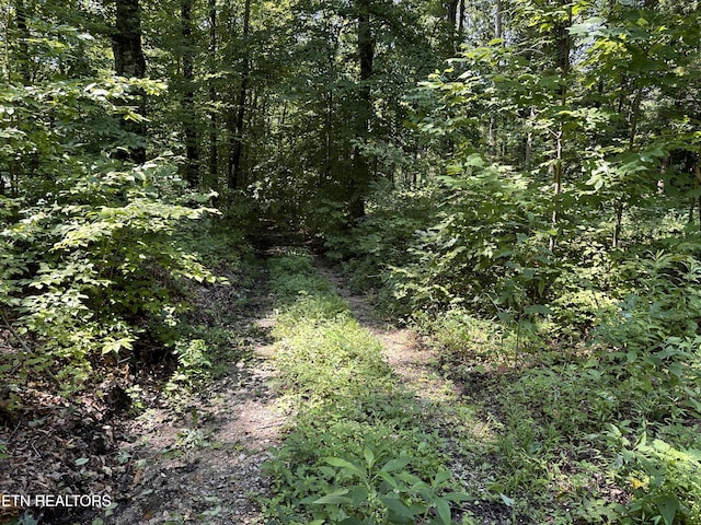 12.55AC Winningham Rd, Byrdstown, TN 38549