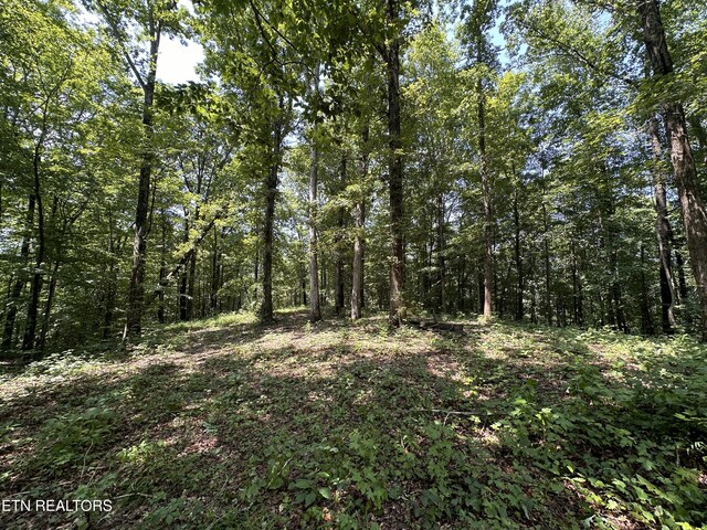 12.55AC Winningham Rd, Byrdstown, TN 38549