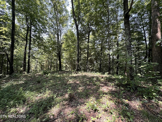 12.55AC Winningham Rd, Byrdstown, TN 38549