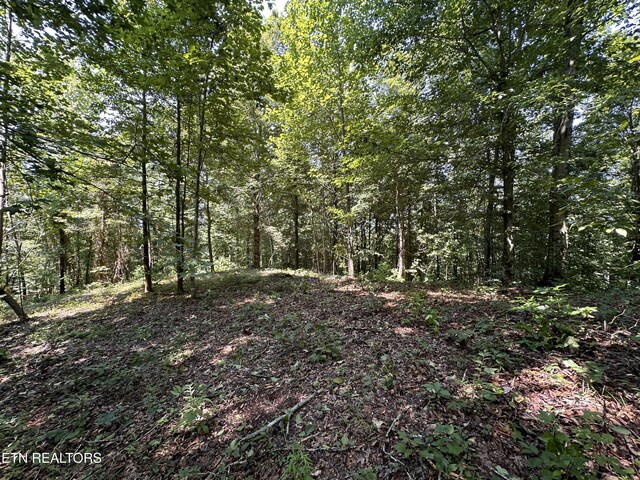 12.55AC Winningham Rd, Byrdstown, TN 38549