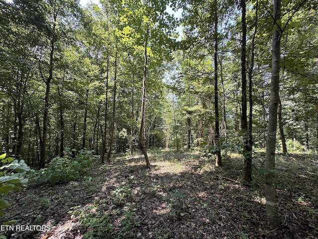 12.55AC Winningham Rd, Byrdstown, TN 38549