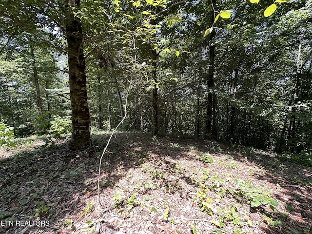 12.55AC Winningham Rd, Byrdstown, TN 38549