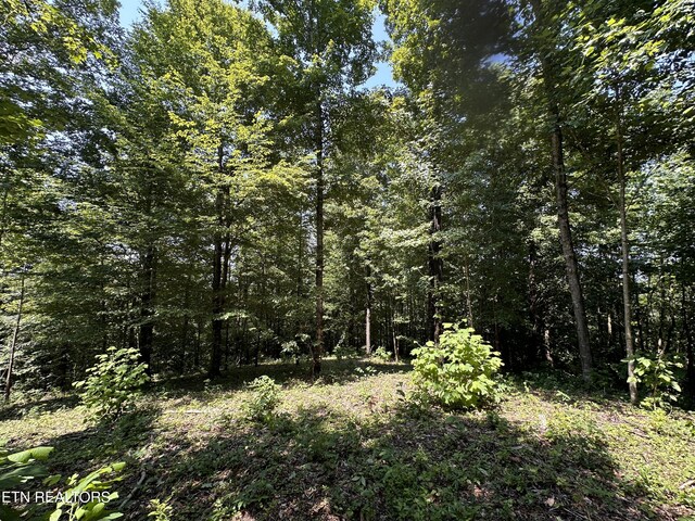 12.55AC Winningham Rd, Byrdstown, TN 38549