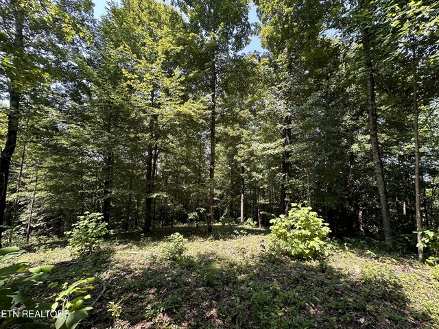 12.55AC Winningham Rd, Byrdstown, TN 38549