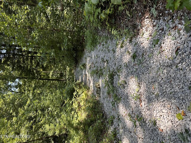12.55AC Winningham Rd, Byrdstown, TN 38549