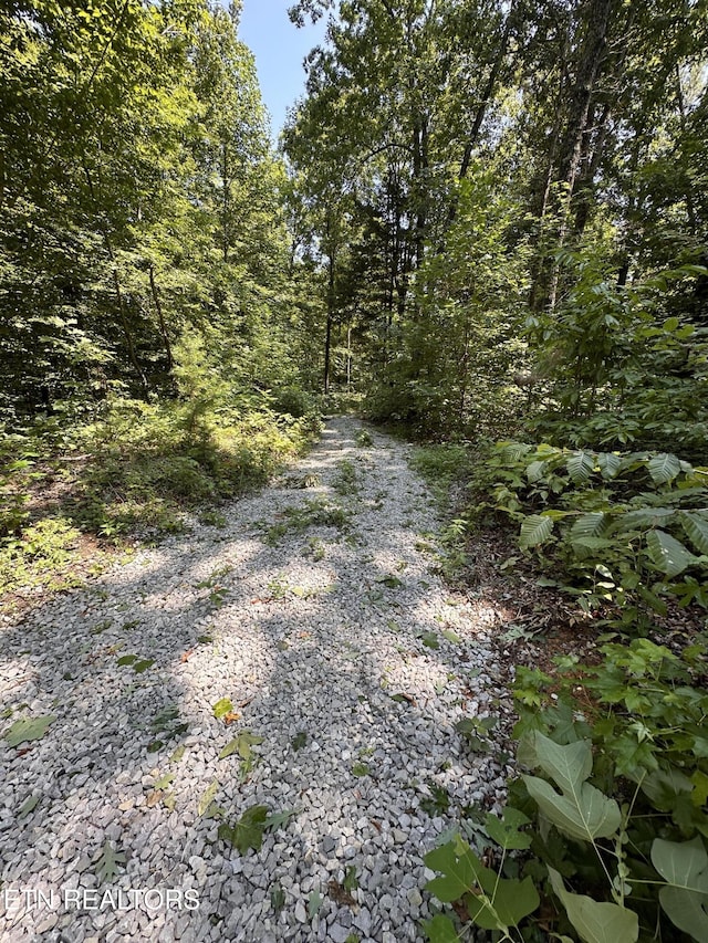 12.55AC Winningham Rd, Byrdstown, TN 38549