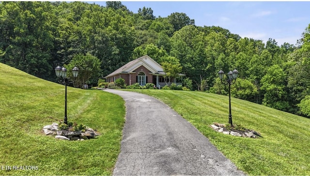 4151 Cave Springs Rd, Tazewell, TN 37879 - view of home's community with a lawn, a view of trees, and asphalt driveway