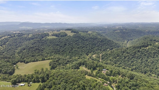 4151 Cave Springs Rd, Tazewell, TN 37879 - aerial view of a forest and a mountain backdrop