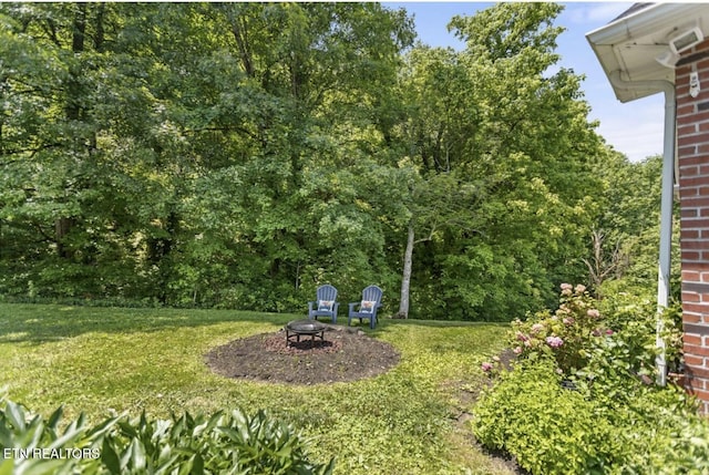 4151 Cave Springs Rd, Tazewell, TN 37879 - view of green lawn featuring an outdoor fire pit