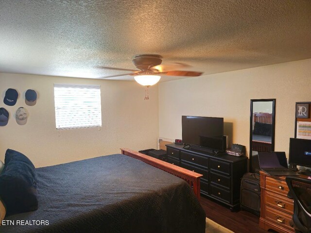 141 Cain Rd, Sharps Chapel, TN 37866 - photo 33