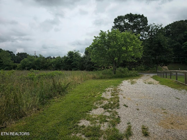 141 Cain Rd, Sharps Chapel, TN 37866 - photo 10