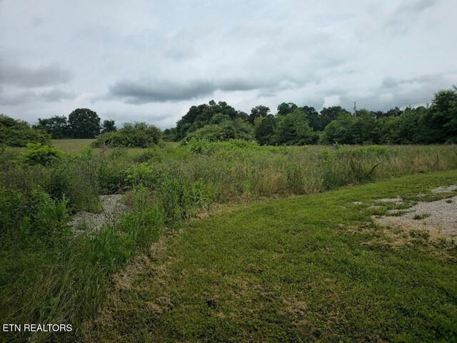141 Cain Rd, Sharps Chapel, TN 37866 - photo 11