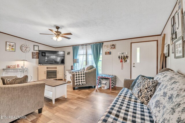 202 Moosetrail Ln, Powell, TN 37849 - photo 9