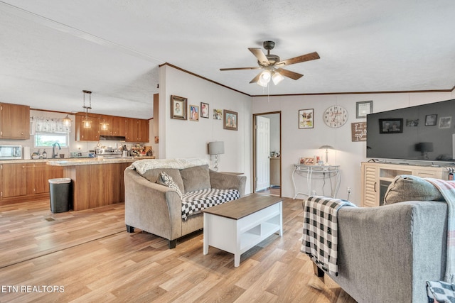 202 Moosetrail Ln, Powell, TN 37849 - photo 12
