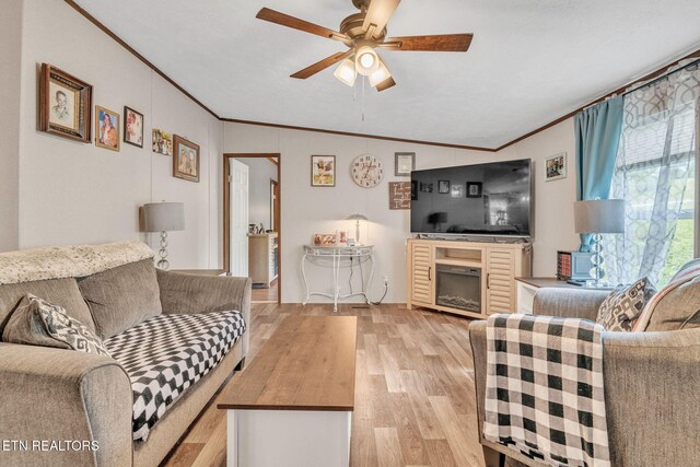 202 Moosetrail Ln, Powell, TN 37849 - photo 10
