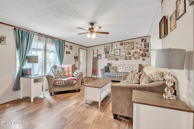 202 Moosetrail Ln, Powell, TN 37849 - photo 11