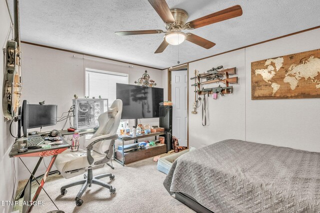 202 Moosetrail Ln, Powell, TN 37849 - photo 32