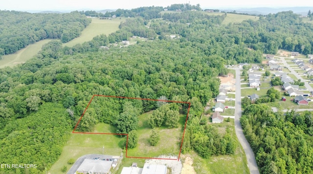 Maynardville Hwy, Maynardville, TN 37807 - photo 1