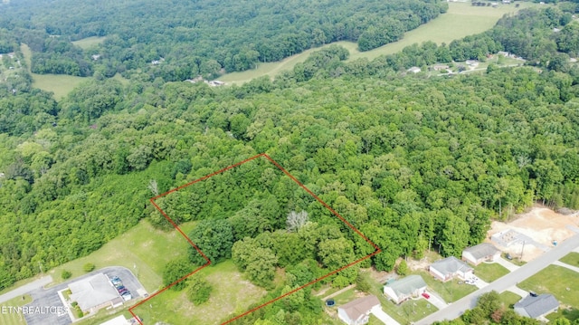 Maynardville Hwy, Maynardville, TN 37807 - photo 2