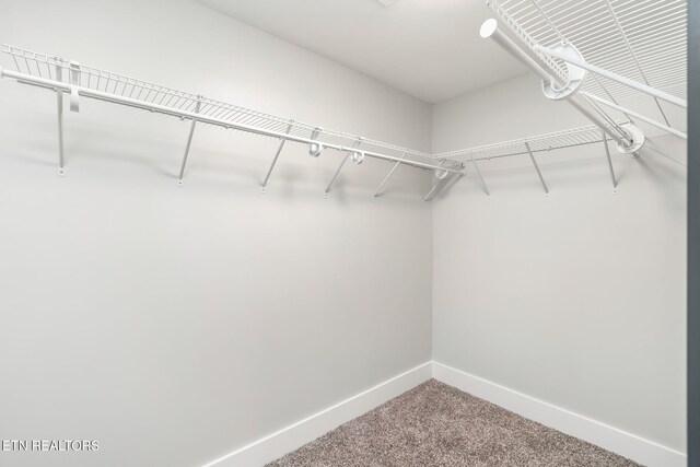 4511 W Beaver Creek Dr, Powell, TN 37849 - photo 18