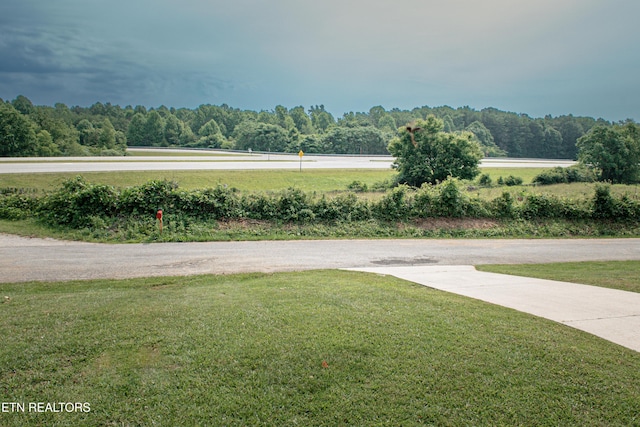 2277 Old Wolf River Rd, Jamestown, TN 38556 - view of green lawn featuring a view of trees