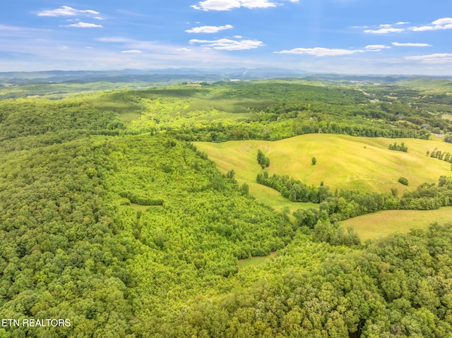 Grigsby Hollow Rd, Kingston, TN 37763 - photo 3