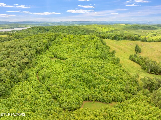 Grigsby Hollow Rd, Kingston, TN 37763 - photo 4
