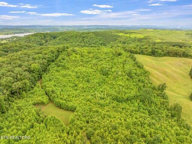 Grigsby Hollow Rd, Kingston, TN 37763 - photo 5