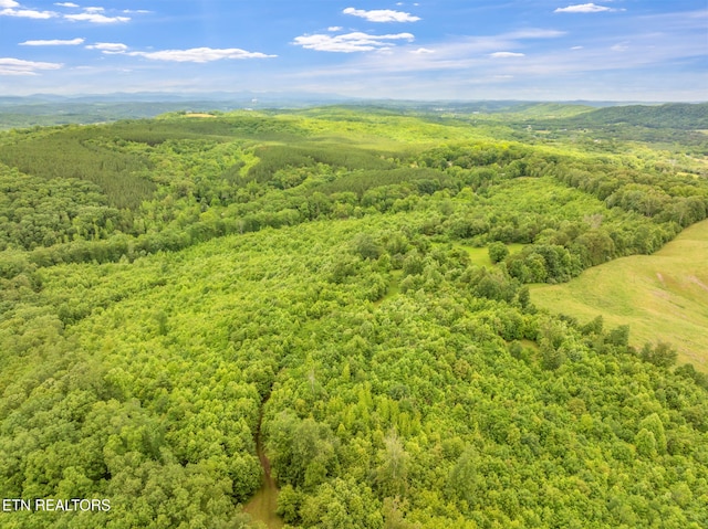 Grigsby Hollow Rd, Kingston, TN 37763 - photo 6