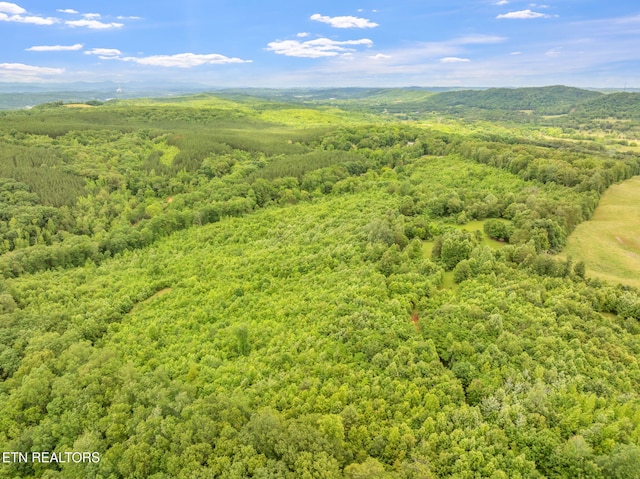 Grigsby Hollow Rd, Kingston, TN 37763 - photo 7