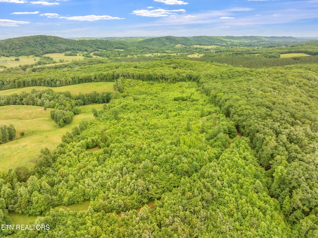 Grigsby Hollow Rd, Kingston, TN 37763 - photo 8