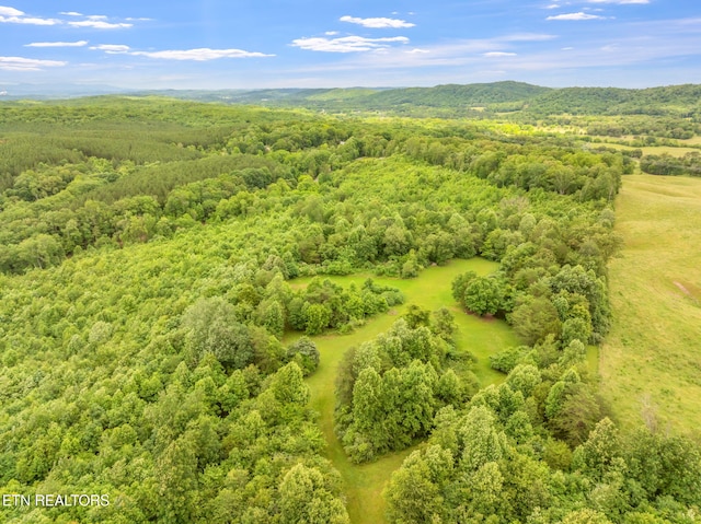 Grigsby Hollow Rd, Kingston, TN 37763 - photo 9