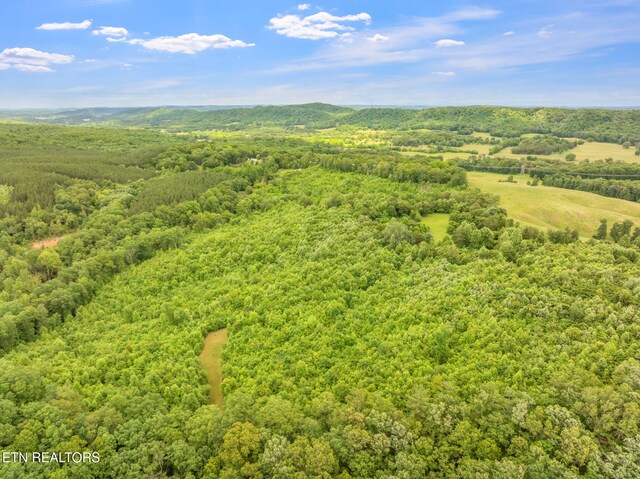Grigsby Hollow Rd, Kingston, TN 37763 - photo 10